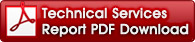 Descarga del archivo PDF del informe de servicios técnicos